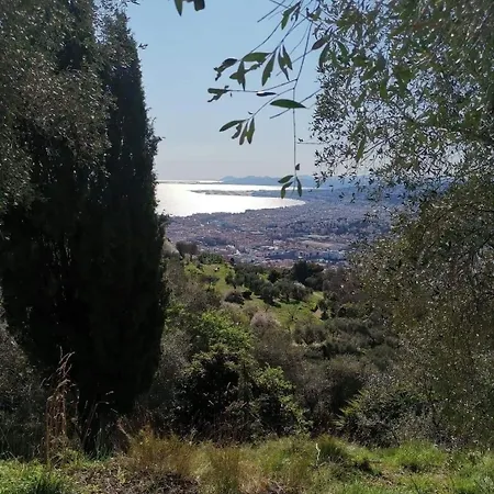 Bohemian Style And Luminous Balcony