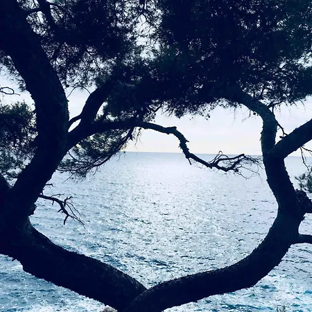 Bohemian Style And Luminous Balcony